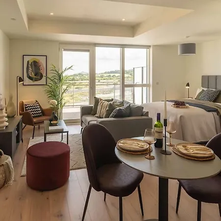 Large Luxurious Studio, Dublin18 Apartment
